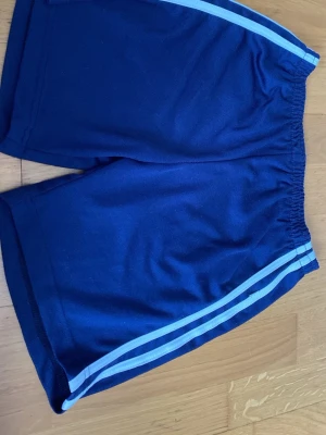 Blå träningsshorts med ränder - Snygga blå träningsshorts med ljusblå dubbla ränder längs sidorna. Shortsen har elastisk midja och är tillverkade i ett mjukt syntetmaterial som passar perfekt för sport och aktivitet.