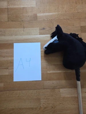 Handsydd käpphäst till salu. - Prince till salu. Pris kan sänkas.