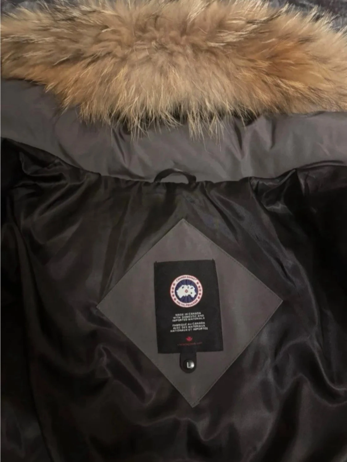 Canada Goose - 5