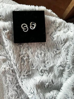 Snygga silvriga örhängen med ring i ringform från Edblad - Ett par stilrena örhängen i silverfärg med spiralformad design. Örhängena har en modern look och passar perfekt för dig som gillar minimalistiska accessoarer. De är små och diskreta men ändå unika i sin form.