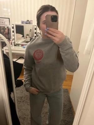 Grå sweatshirt  - Säljer en grå sweatshirt som är från Louis Tomlinsons merch! Den är i fint skick och storlek S, den är även från 2022. Pris är diskuterbart 💕.