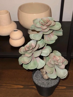 Konstgjord Växt/Blomma - Snygg konstgjord suckulent med stora gröna och rosa blad i en enkel svart plastkruka. Perfekt som dekoration för att ge rummet en fräsch och modern känsla utan att behöva vattna. Med tillhörande guldvas om så önskas se bild!Passar bra på hylla, bord eller fönsterbräda☺️🧸🩷