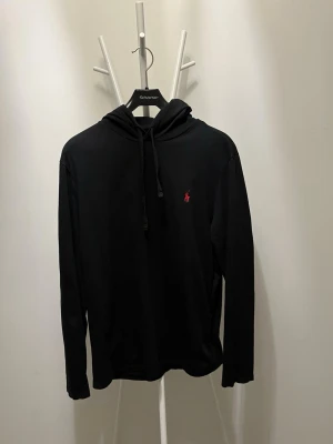 Ralp Lauren Huvtröja - Fräsch Ralph Lauren tröja i mycket bra skick, inga hål osv.
