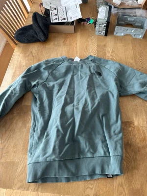 Grön sweatshirt från The North Face - Snygg grön sweatshirt från The North Face med logga på bröstet och stort tryck på ryggen med texten 'Never Stop Exploring'. Tröjan har rund hals, ribbade muddar och är tillverkad i mjukt bomullsmaterial. Perfekt för en avslappnad och trendig look.