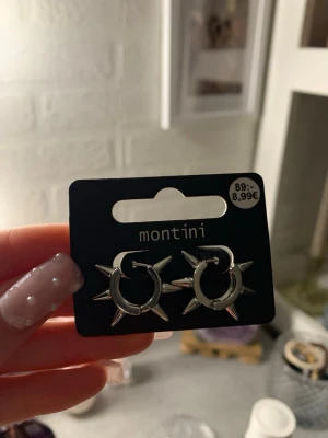 örhängen helt nya - helt nya eftersom jag inte använder silver