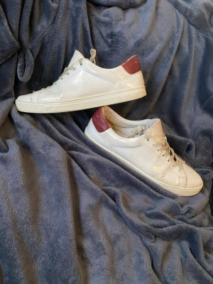 Burberry sneakers  - Snygga burberry sneakers med vinröda detaljer på hälen. Har lite skador i hälen på insidan på ena skon men inget som påvärkar. Väldigt unika och snygga skor. Skriv vid frågor