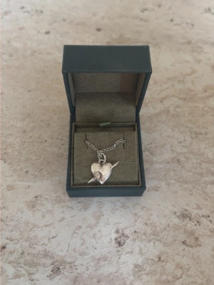 Halsband med hjärthänge Maria Nilsdotter, det är knappt använt och nypris är 2895kr - Snyggt halsband i silver från Maria Nilsdotter med ett hjärthänge som har en pil genom sig. Kedjan är tunn och elegant, och smycket levereras i originalask. Perfekt accessoar för att lyfta din stil.