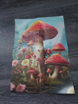 Prydnadsposter med svampar och blommor - Färgglad poster med motiv av stora röda flugsvampar och blommor mot en blå bakgrund. Perfekt som dekoration för dig som gillar natur och fantasifulla illustrationer. Tryckt på papper med levande färger och detaljer.