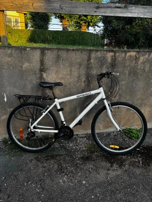 Vit cykel med pakethållare - Säljer en vit cykel av märket Speed med svart sadel och handtag. Cykeln har pakethållare bak, reflexer på hjulen och flera växlar. Passar perfekt för dig som vill ta dig runt smidigt i stan eller till skolan. Cykeln har problem med högra växeln priset kan diskuteras 