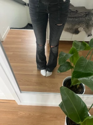 Y2K grå jeans  - Bootcut mörkgrå jeans med hål i snygga till hösten, passar bra i längden för mig jag är 170cm
