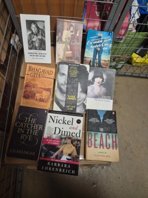 Blandade klassiska romaner på engelska - Samling med tio skönlitterära böcker på engelska, inklusive titlar som The Catcher in the Rye, The Great Gatsby, The Beach och The Scarlet Letter. Böckerna har olika färger och omslag, mestadels i pocketformat. Perfekt för dig som gillar klassiker och modern litteratur. 20kr st eller alla för 100kr