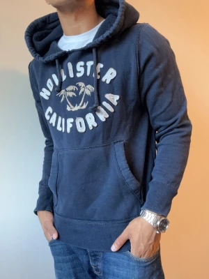 Vintage Hollister Hoodie - Riktigt snygg Hollister hoodie | Storlek M | Mycket bra skick | Modell 175cm, 69kg | 