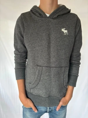 Vintage A&F tröja - En riktigt fet vintage A&F tröja! Sitter riktigt bra och har fint skick. | Skick:9/10 | modellen är 187cm lång‼️. | Stl L | Pris 599 men kan diskuteras😁☺️🤩