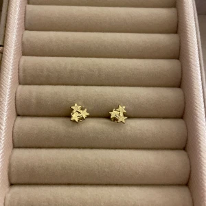 Guldiga örhängen  - Superfina guldiga örhängen⭐️. Säljer då de inte kommer till användning. Vet ej vart de är ifrån då jag fått dem i present. Aldrig använda 😇