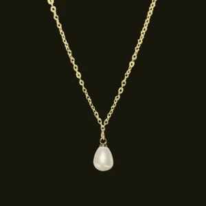 Halsband - Halsband i rostfritt stål. Kedjan är justerbar mellan 45-50 cm💋💋