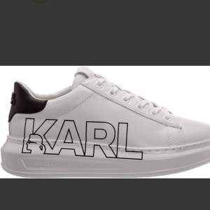 Säljer mina Karl Lagerfeld skor som är använda fåtal gånger. I storlek 37.5. Pris kan diskuteras 