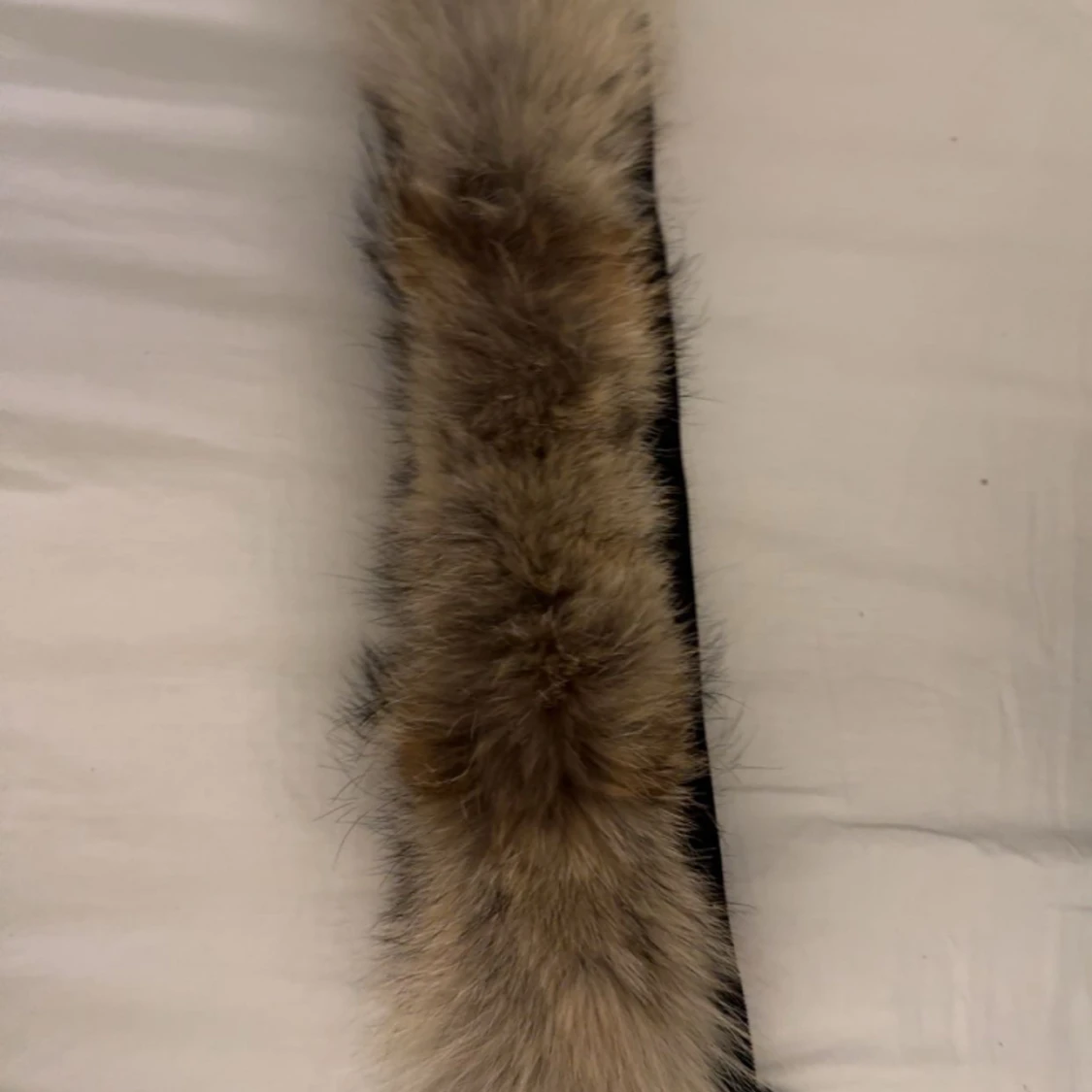 Canada Goose Jacka   - 90