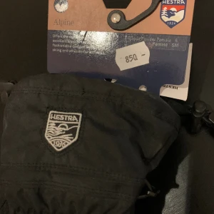 Skidhandskar Hestra nya - Storlek 6 Hämtas vid Slussen Mosebacke 