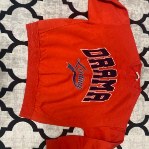 tröja - tröja bershka för 100kr. storlek M 