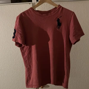 Ralph lauren t shirt - Den är lite andvänd och trycket på Insidan har gått bort med varm tvätt 