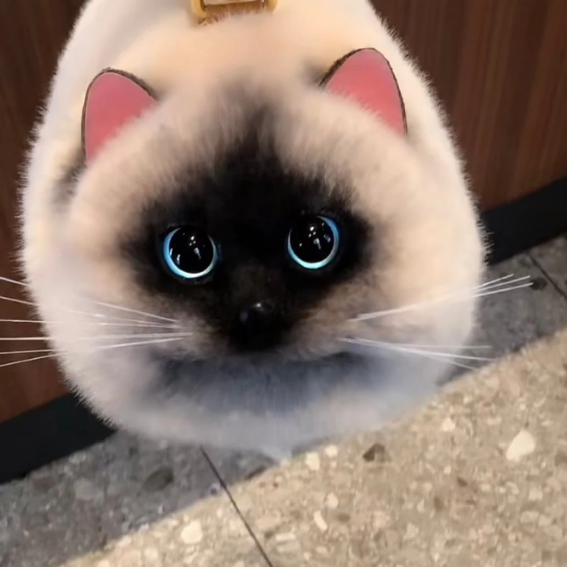 Unik kattväska för tjejer - 90