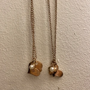 Brons/guld kompis halsband - Har används mycket men i bra skick. 