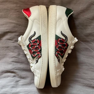 Gucci ace skor - Stilrena, sällsynta , snygga Gucci skor!   Skick: 7/10 Storlek: 43 Original kvitto följer med! 