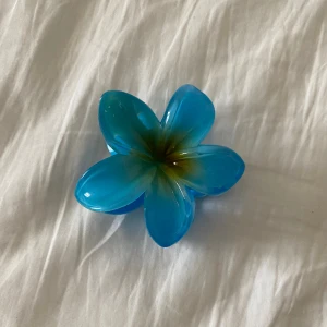 Söt hårklämma  - Oanvänd 💋