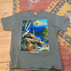 Sällsynt t-shirt från Nike ACG i storlek L. Tryck på fram-och baksidan med motiv av Crater Lake i Oregon USA. Använd men i bra skick. Tjockt material 100% bomull. 