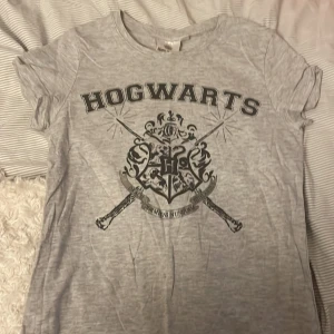Grå Harry Potter T-shirt med Hogwarts-motiv - En grå T-shirt från Wizarding World med ett stort Hogwarts-motiv på framsidan. T-shirten har korta ärmar och är tillverkad i ett bekvämt material.