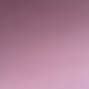 270 air Max - Helt ny