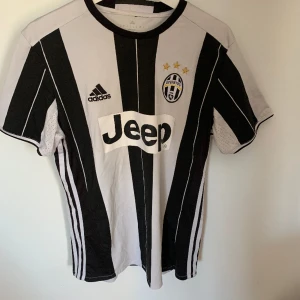 Tröja - Vit tröja i bra skick  Storlek M Ibrahimovic Nr 10 