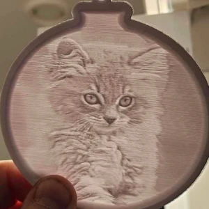 Hänga i fönstret  - Nyhet Hänga i förnter