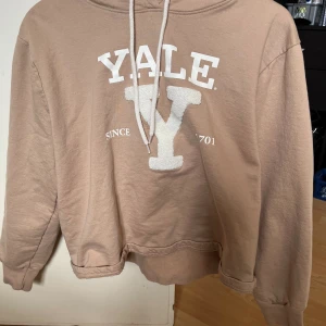 Beige tröja - Beige tröja. Köpt i Ullared. Denna va inget för mig, så den är inte använd, endast provad, kommer även därför vilja ha nästan samma pris jag betalade för den.