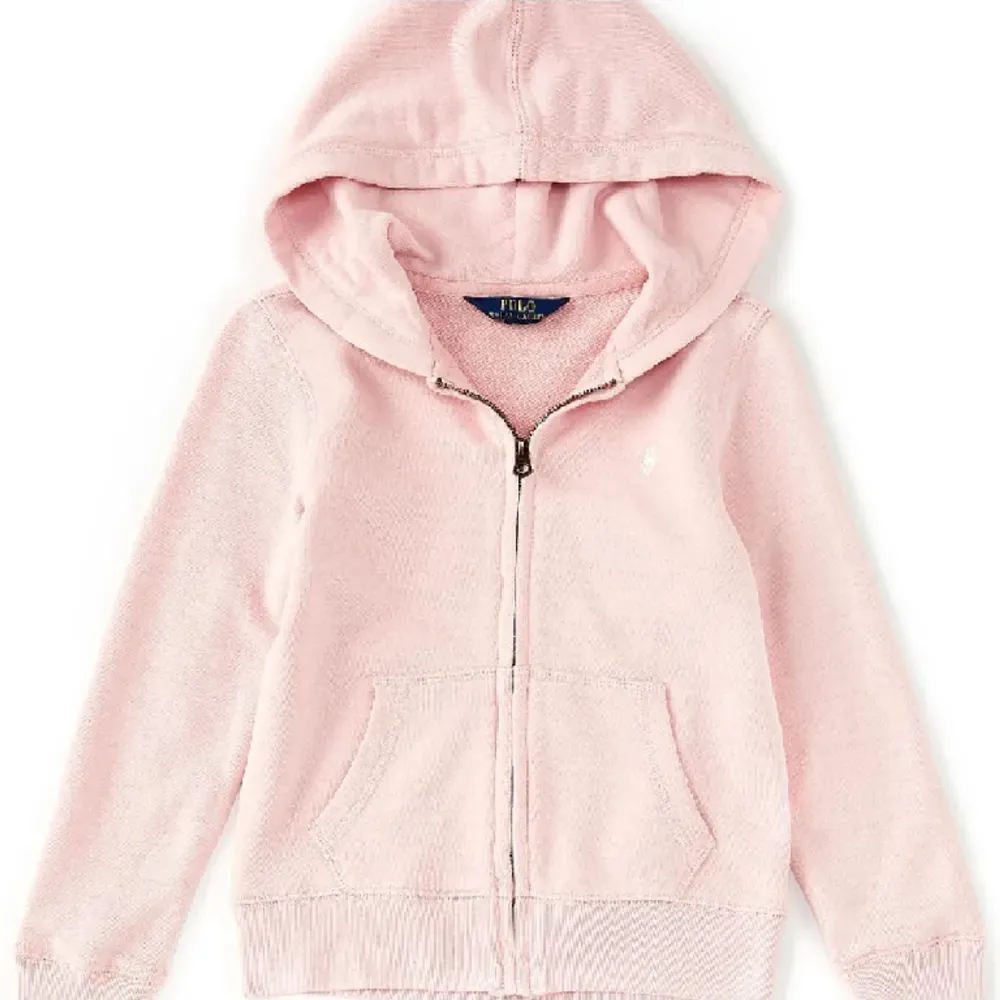 Hoodie ralph lauren dam hot sale