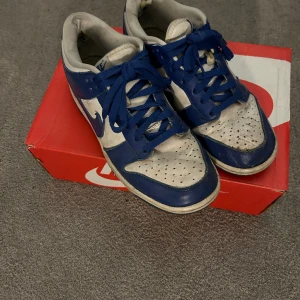 Nike dunk kentucky - Ett par Nike dunk kentucky, väldigt använda som man kan se men märks inte lika mycket när man har på sig dom. Pris kan diskuteras 