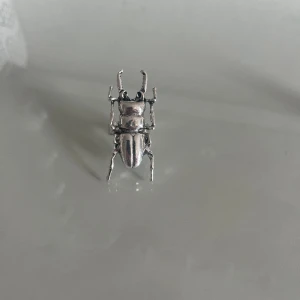 Två ringar - Ringarna på bilden