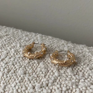 Örhängen  - Örhängen från Mango, sparsamt använda 💖