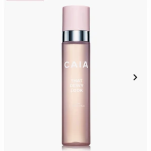 That dewy look - Oanvänd Caia settingspray!