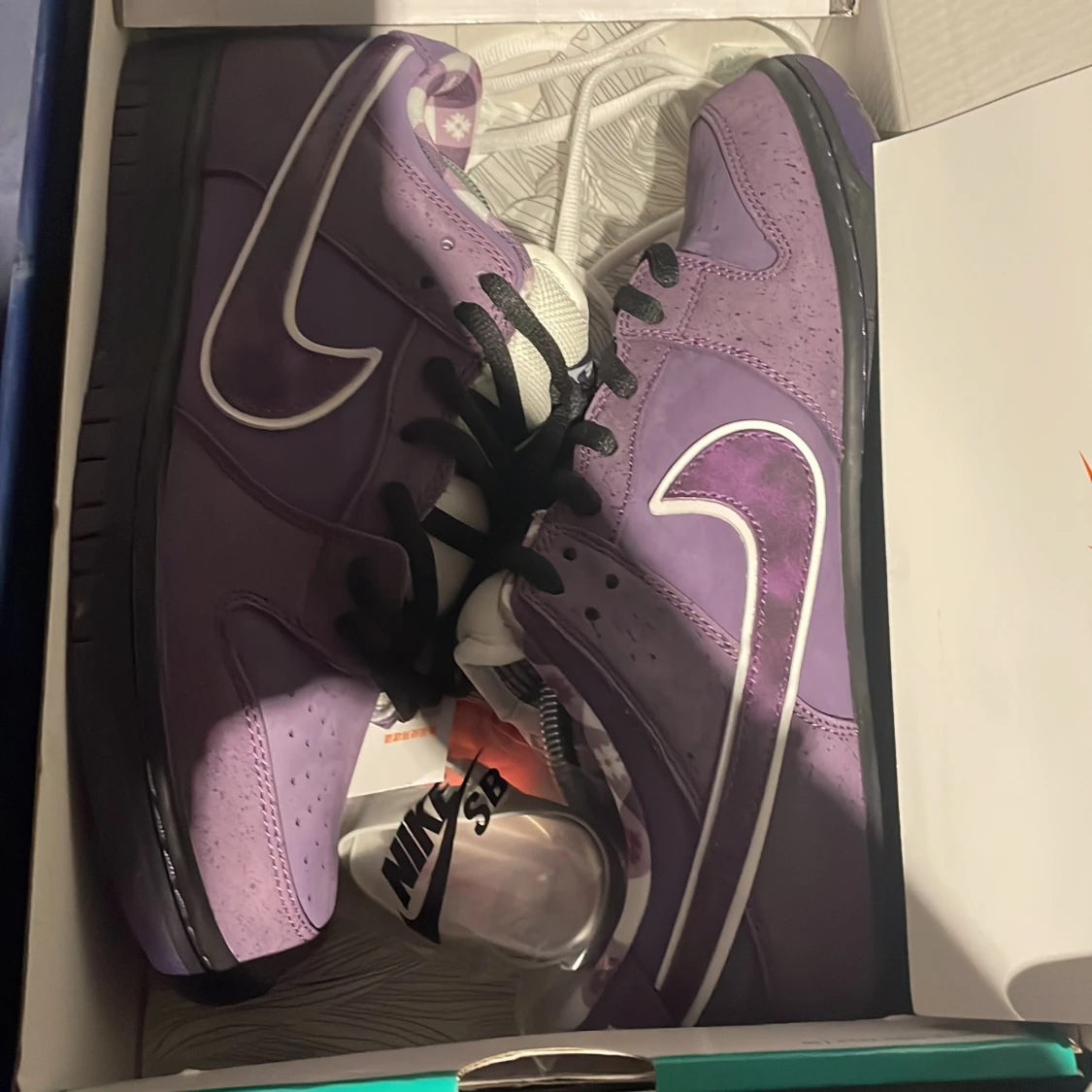 Purple lobster special box - 91