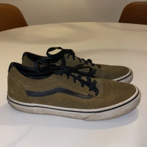 Vans  - Det har gått hål i tyget vid hälarna men annars är det inget fel med dom.