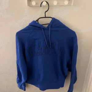 Snygg hoodie  - Hoodie i en kortare modell som sitter jätte snyggt! Se sista bilden för exakt färg 