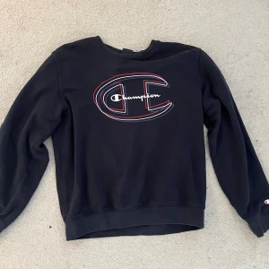 Champion  - Champion sweatshirt som är köpt secondhand men inte använd så ofta💕