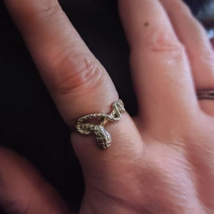 Orm ring - Orm som slingrar sig runt ringen 