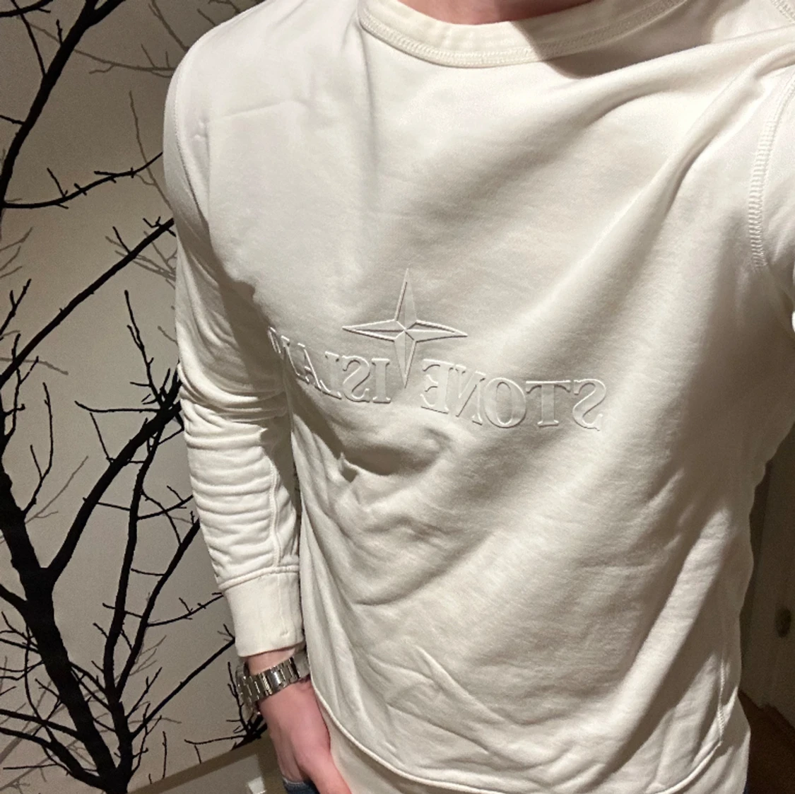 Sällsynt Sweatshirt från Stone Island - 90