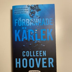 Bok Colleen Hoover  - Colleen Hoover - Ugly Love (Förbannade kärlek) 