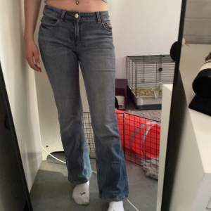 Världens skönaste jeans!! Älskar dem men tyvärr är de för korta på mig (är 170cm, skulle passat bättre på någon som är 165 cm eller kortare)