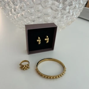Edblad nitsmycken i guld - Guldiga nitsmycken från Edblad med värde av 1400 kr. Säljs endast tillsammans. Armbandet och ringen är i storlek S. Smyckena har inga defekter och skickas med en Edbladbox.