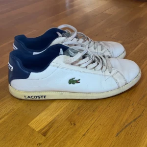 lacoste skor - kolla alla bilder