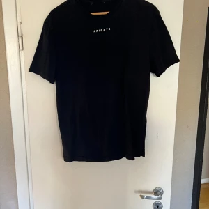 Axel arigato T-shirt  - Axel arigato T-shirt i fint skick 